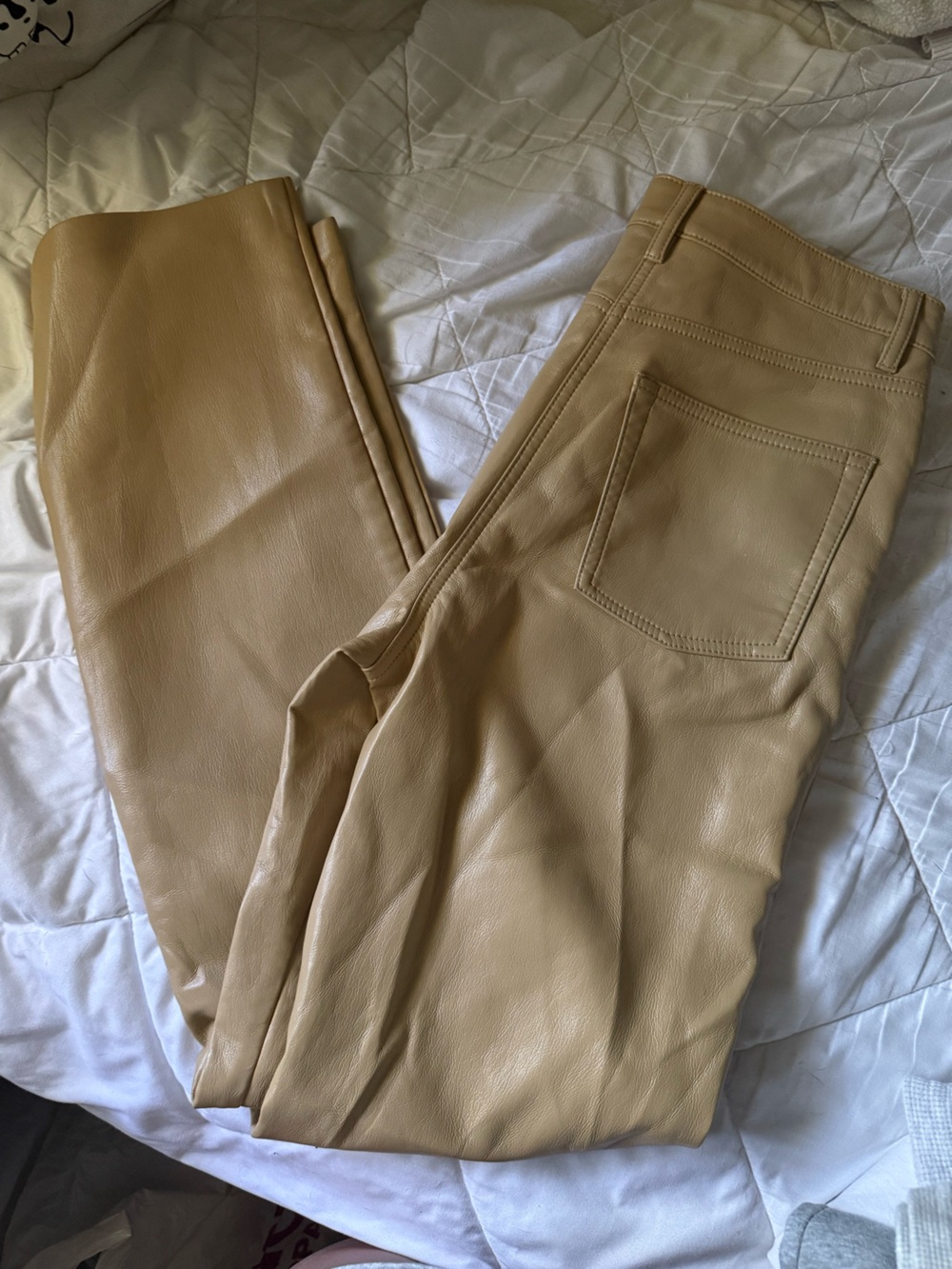 Aritzia Leather Pants in Tan